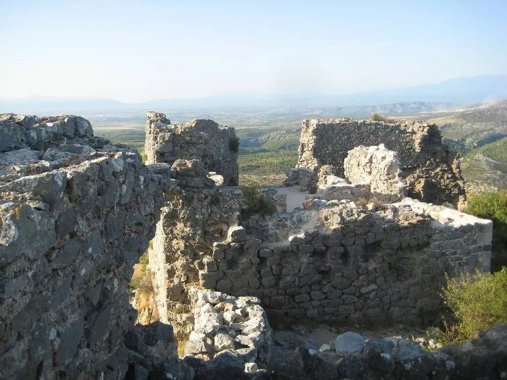 Slide image