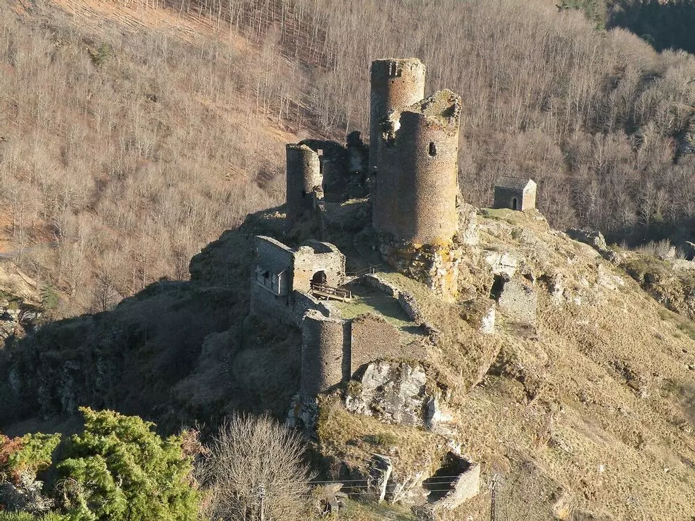 Slide image