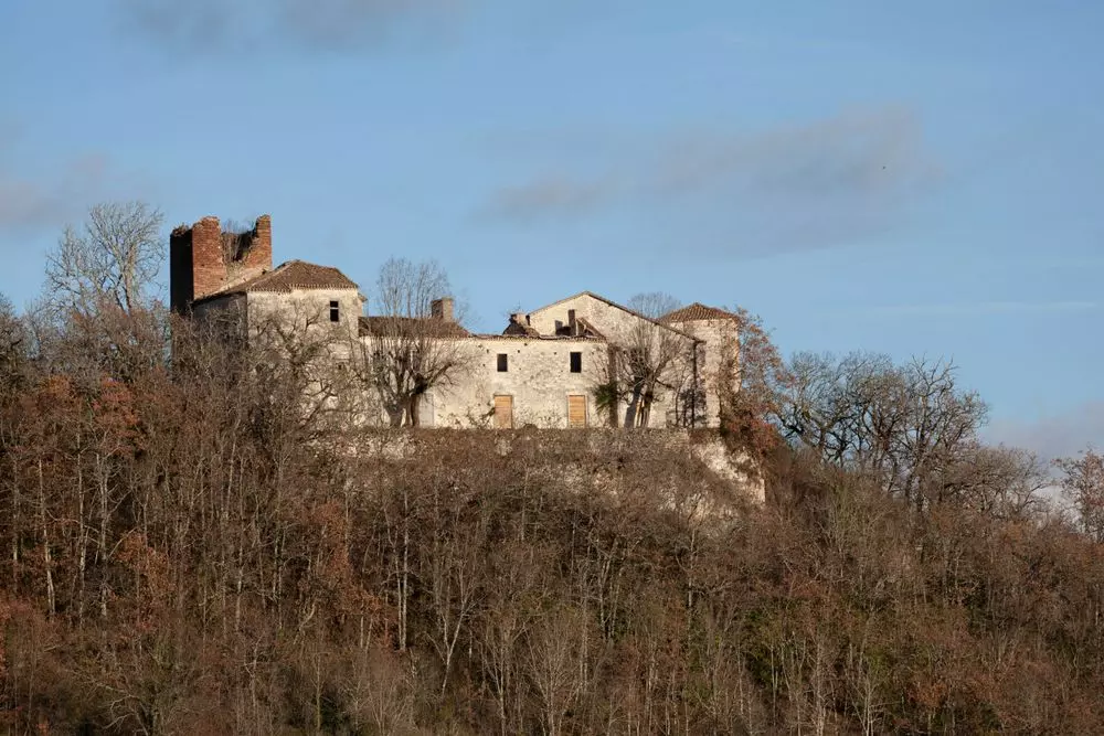 Slide image