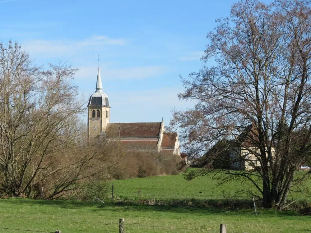 Slide image