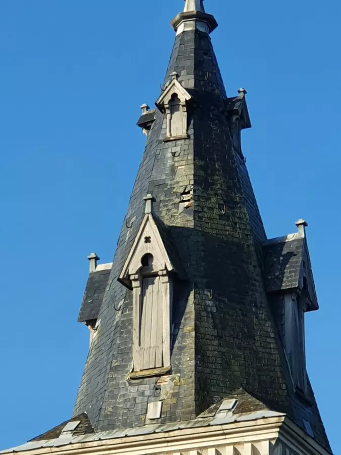 Slide image