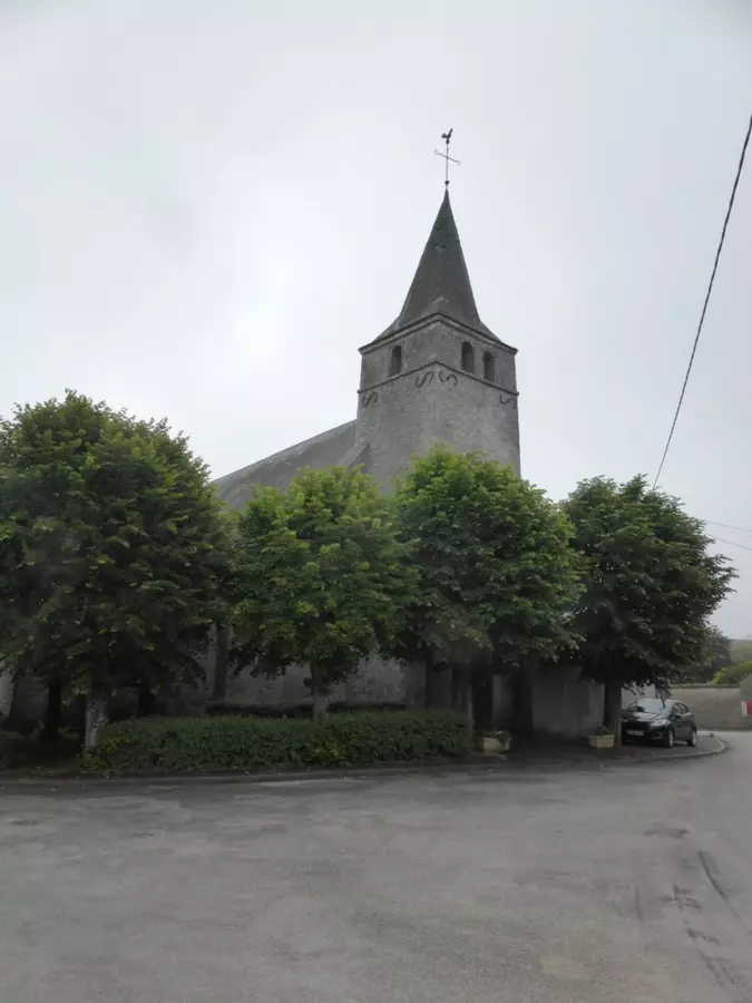 Slide image