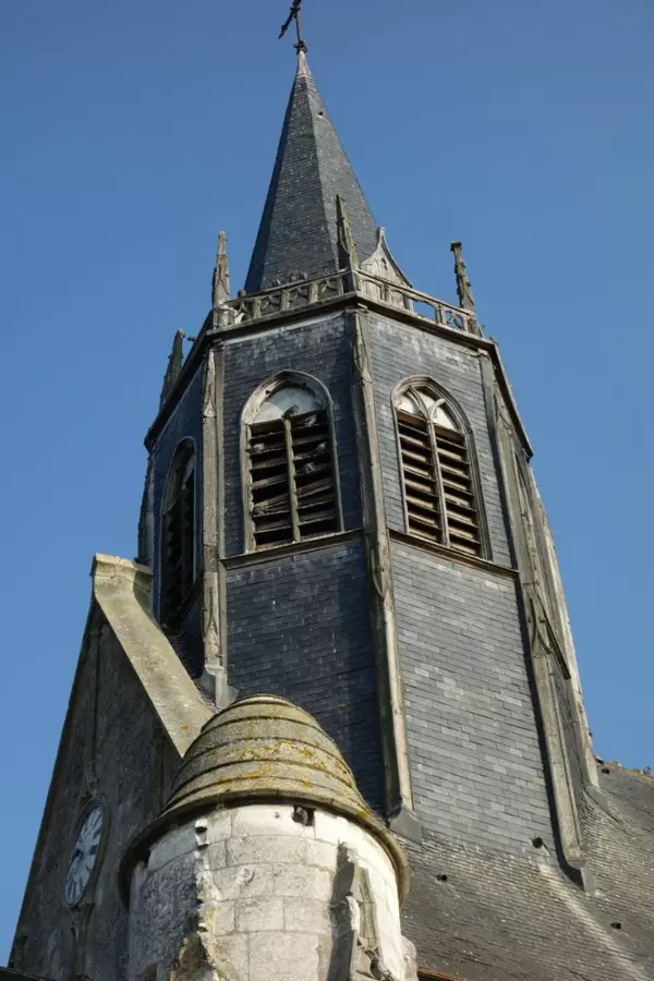 Slide image
