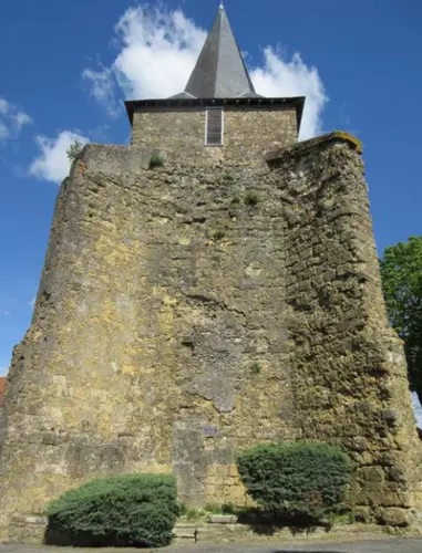 Slide image