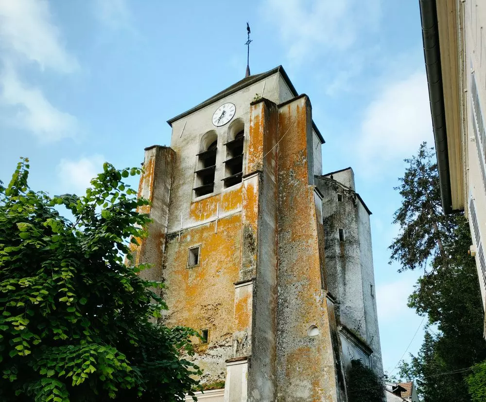 Slide image