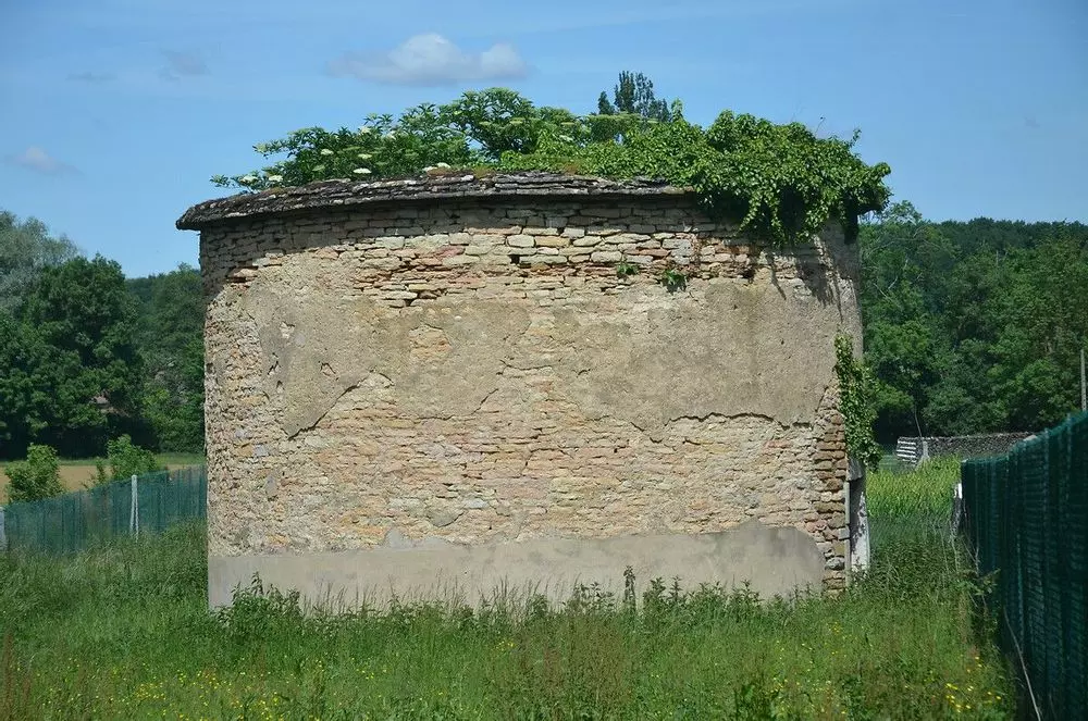 Slide image