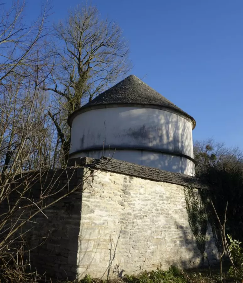 Slide image