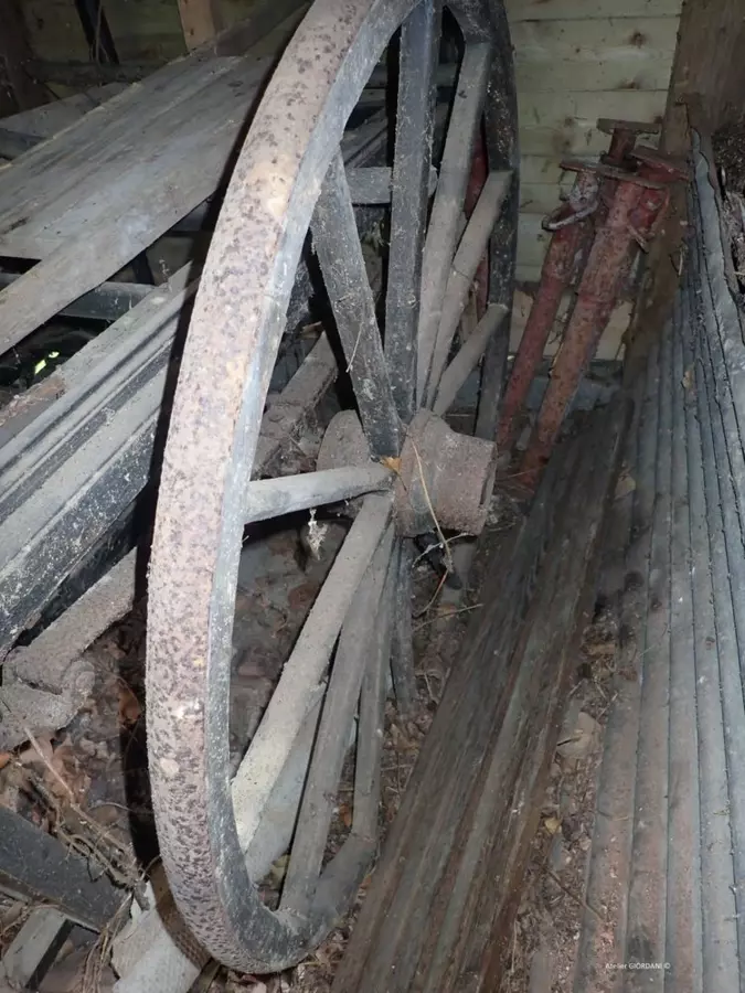 Slide image