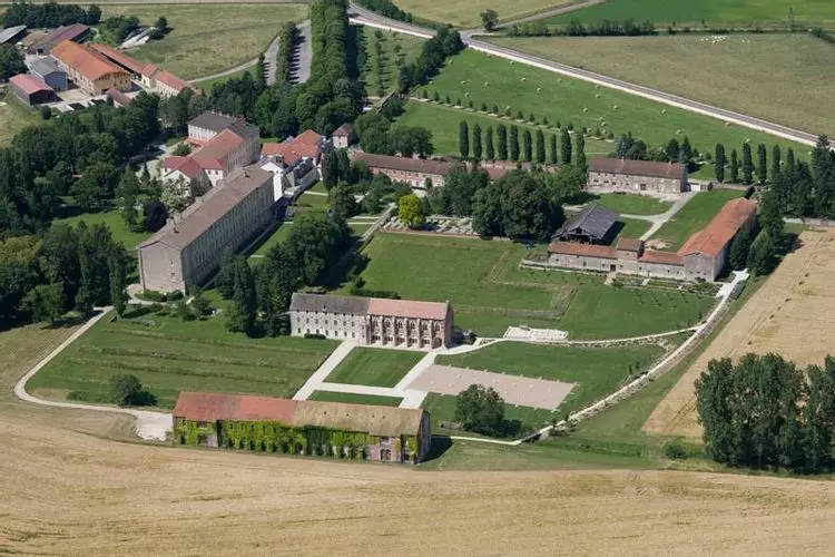 Slide image