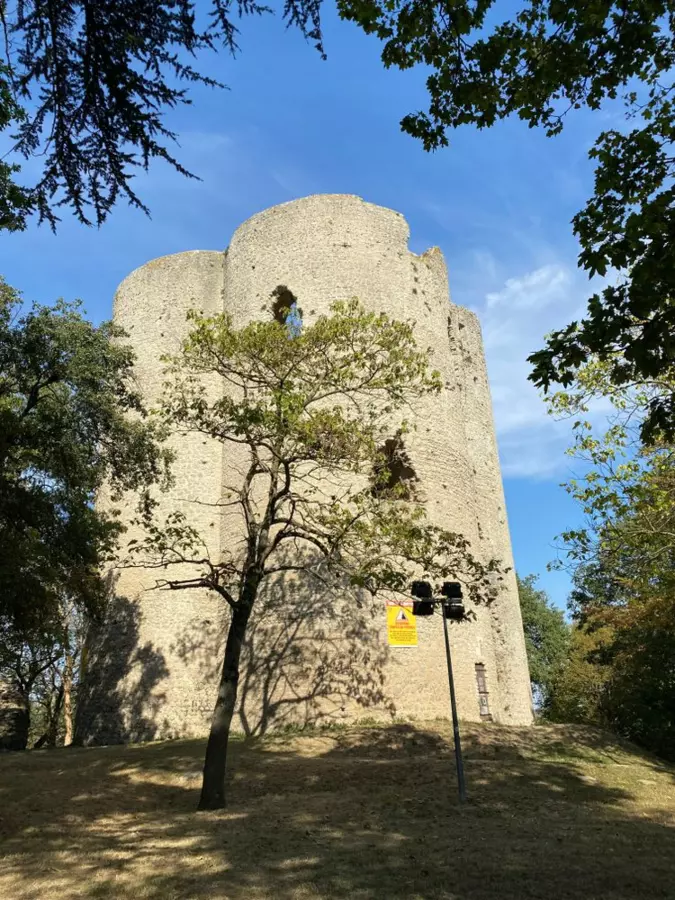 Slide image