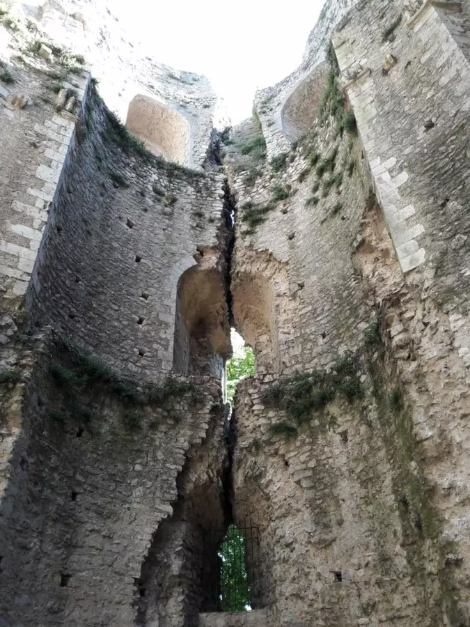 Slide image