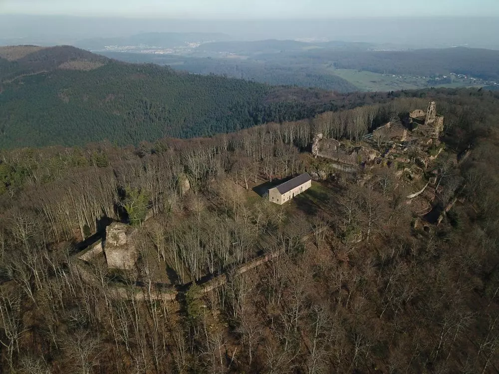Slide image
