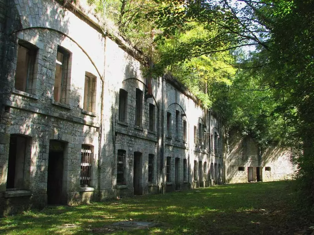 Slide image