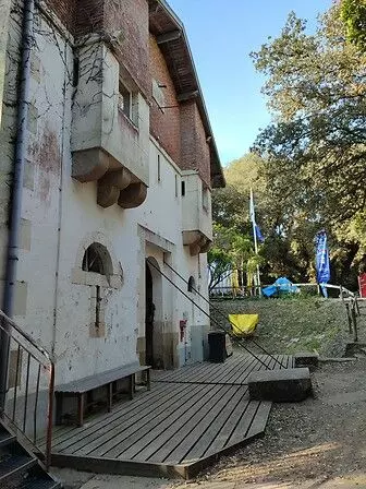 Slide image