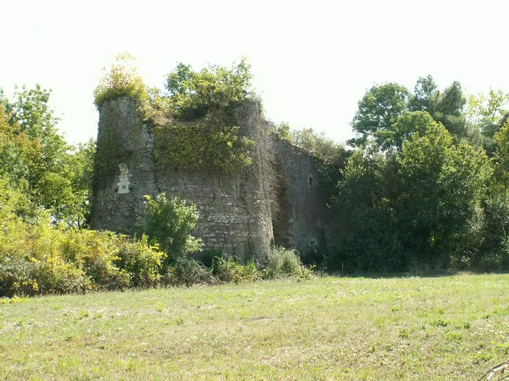 Slide image