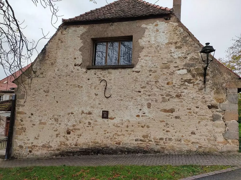 Slide image