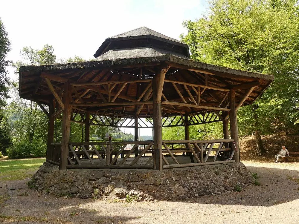 Slide image