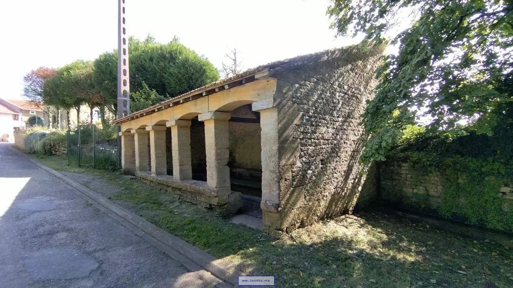 Slide image