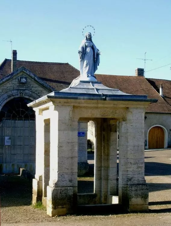 Slide image