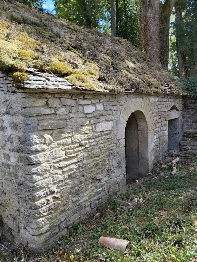 Slide image