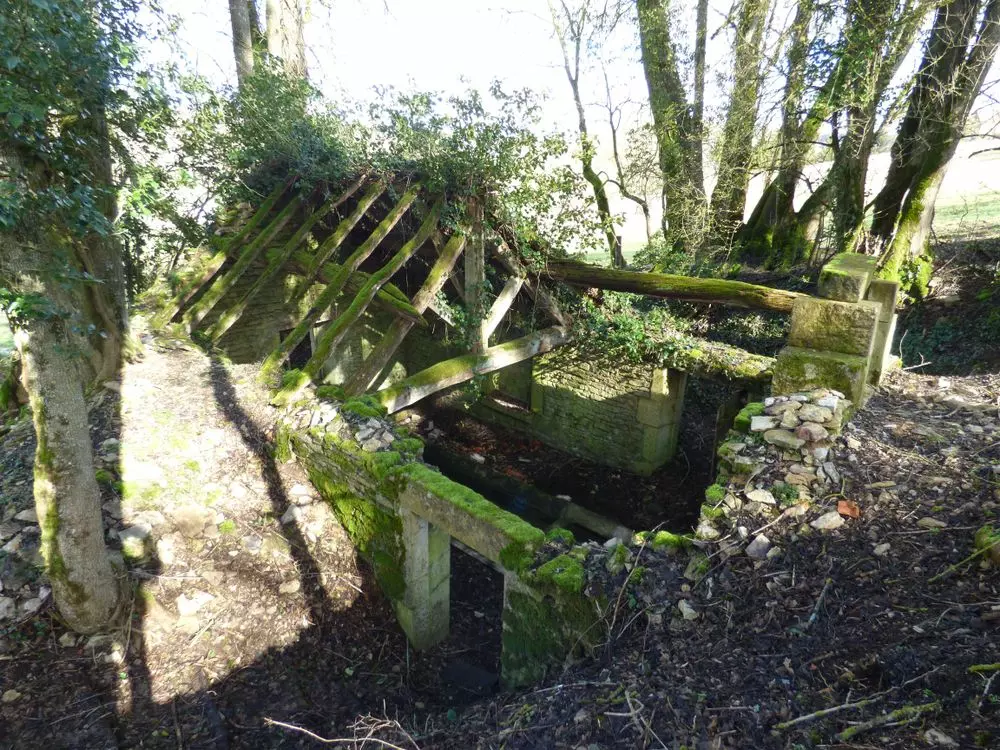 Slide image