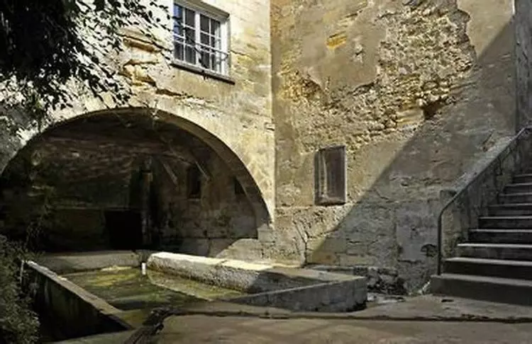 Slide image