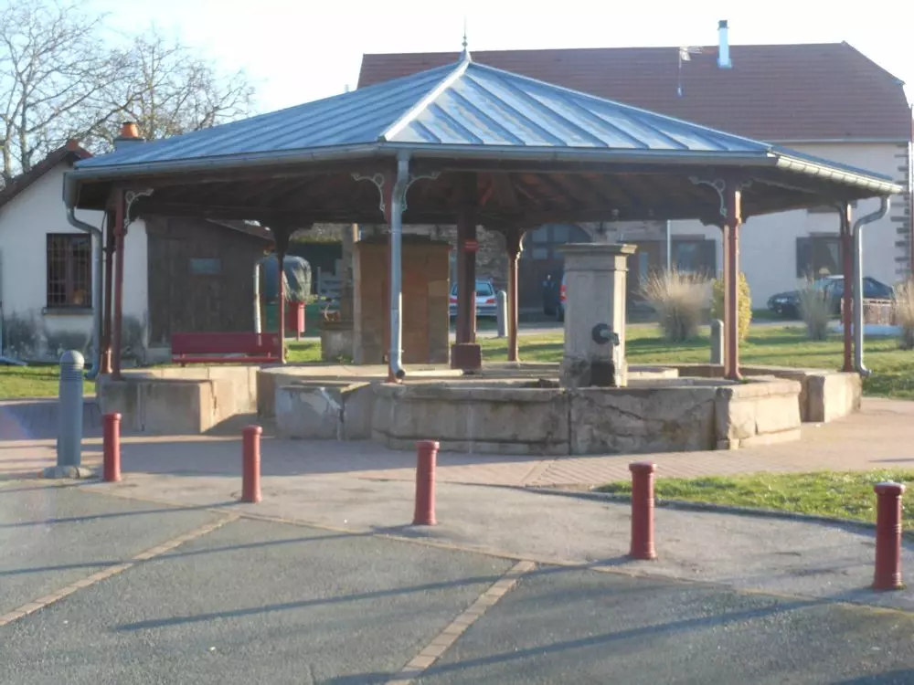 Slide image