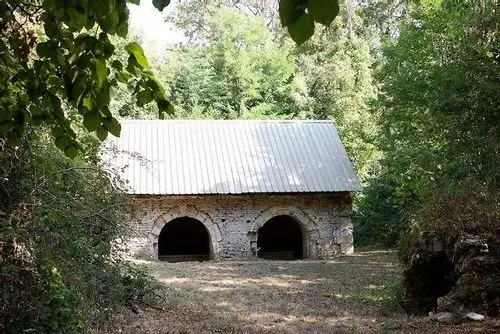 Slide image