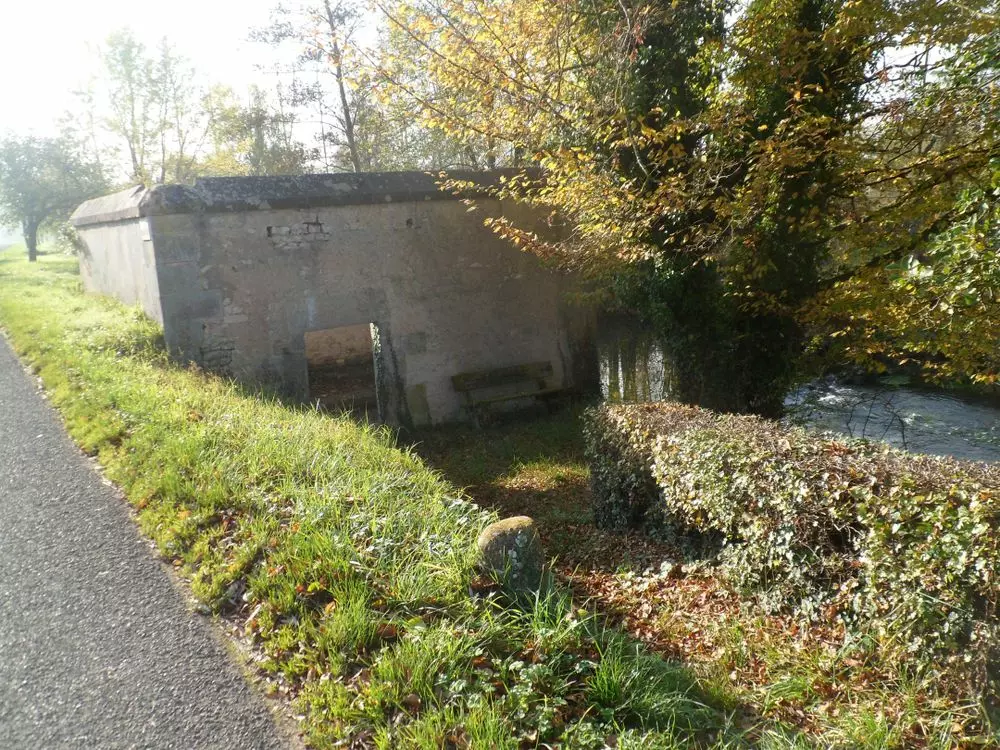 Slide image