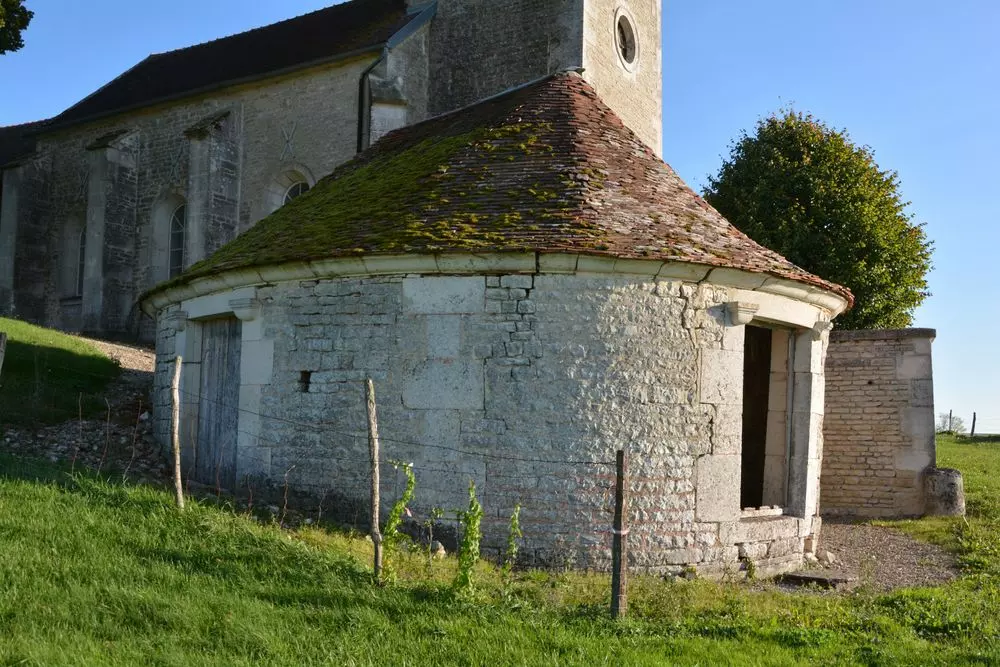 Slide image