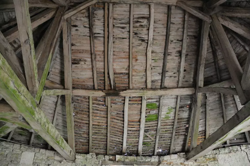 Slide image