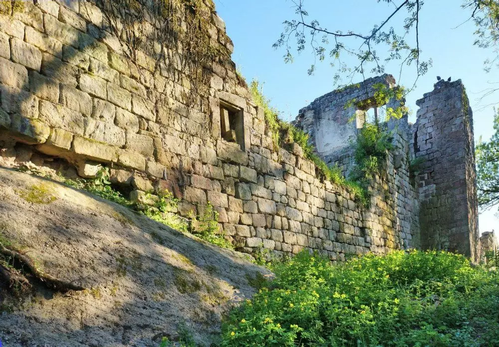 Slide image