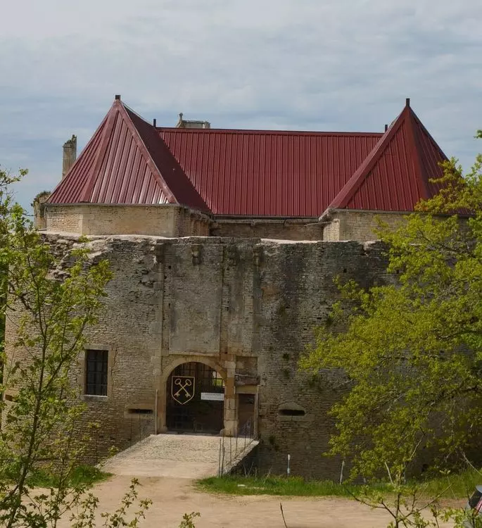Slide image