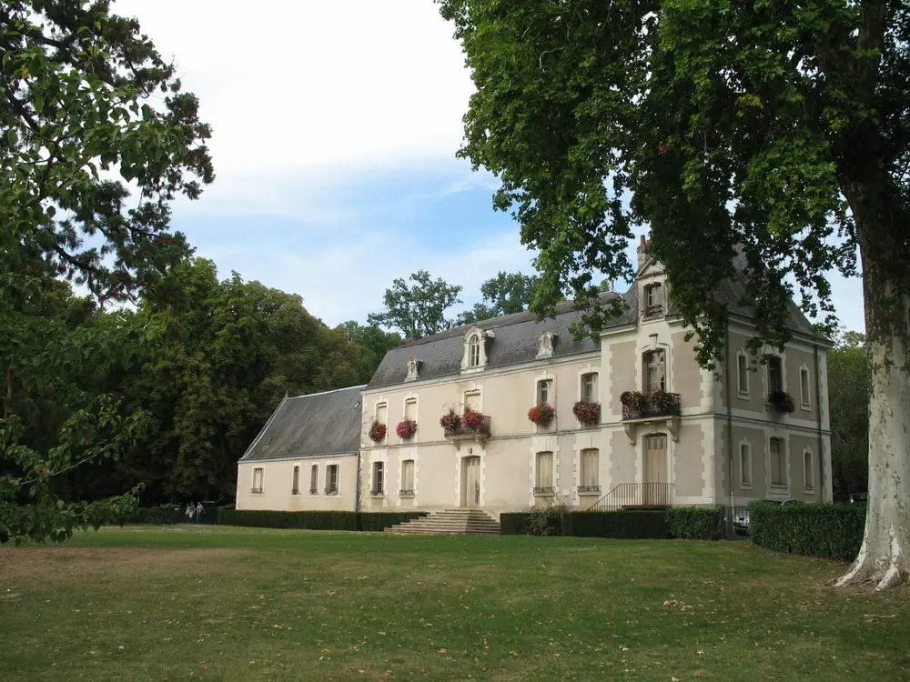 Slide image