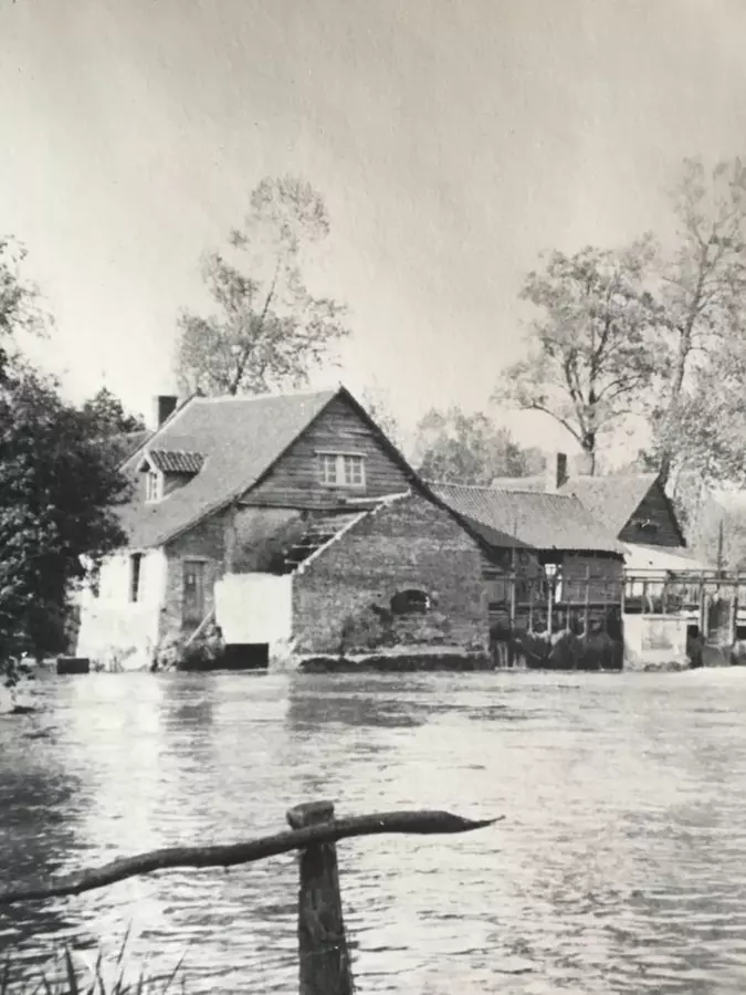 Slide image