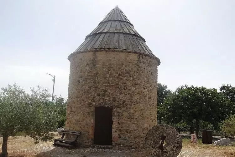 Slide image