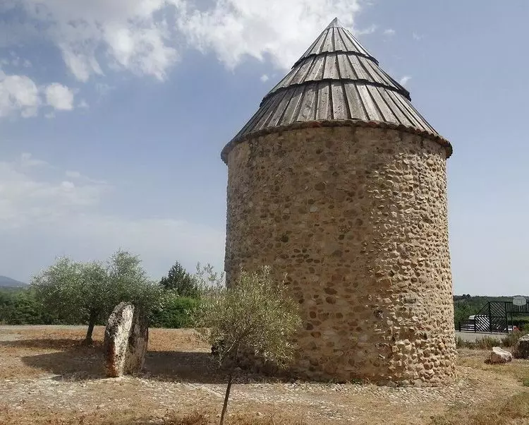 Slide image