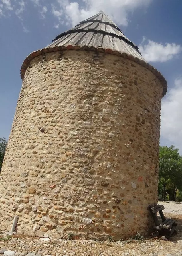 Slide image