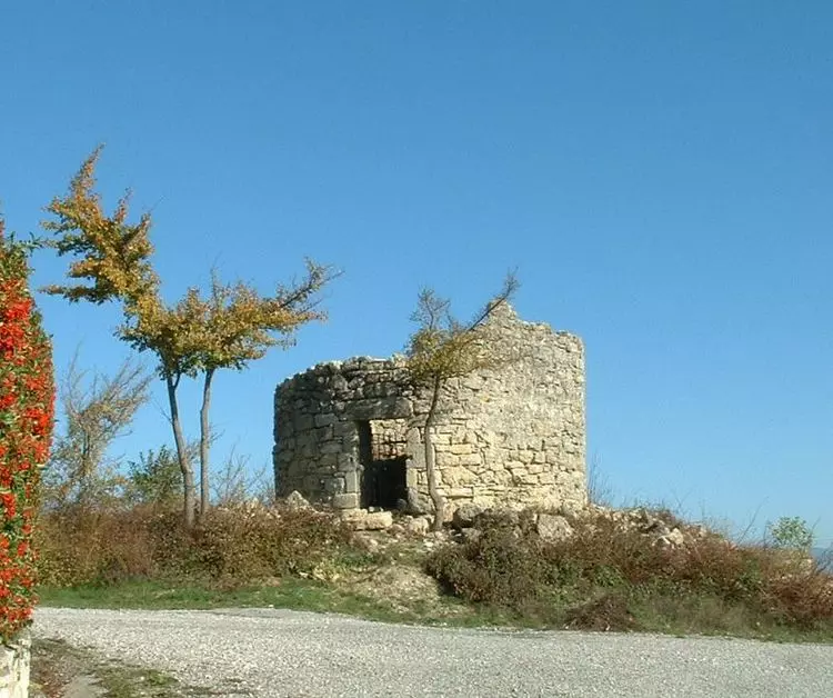 Slide image