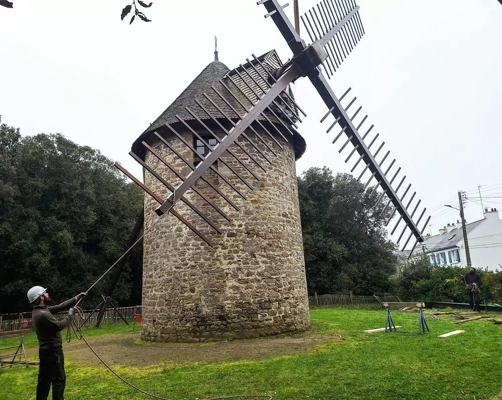 Slide image