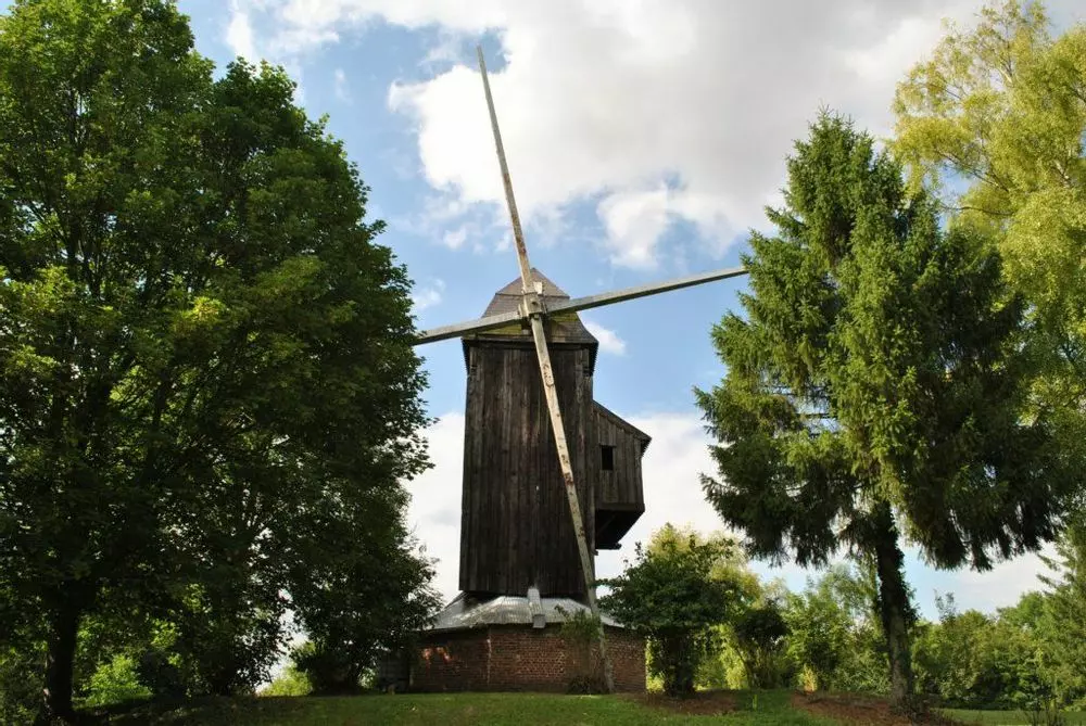 Slide image