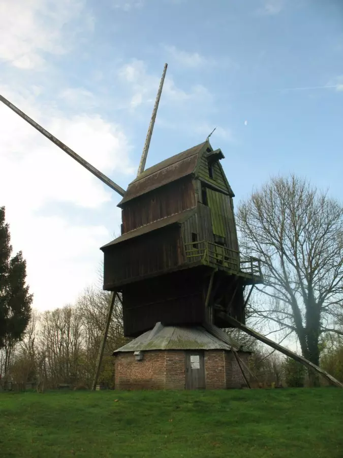 Slide image