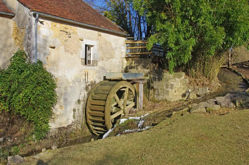 Slide image