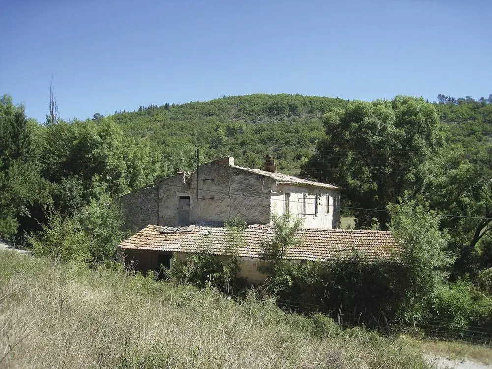 Slide image