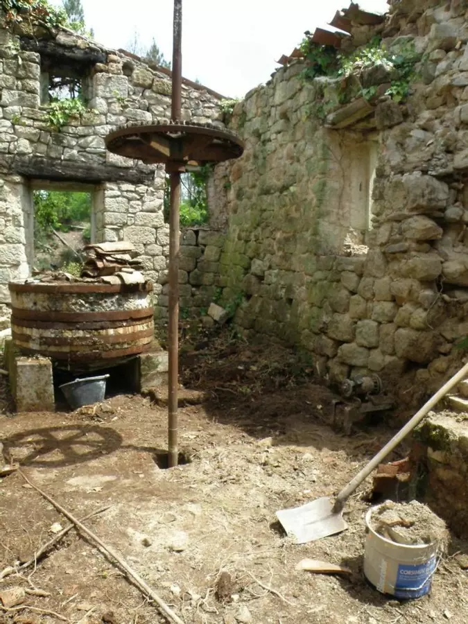 Slide image