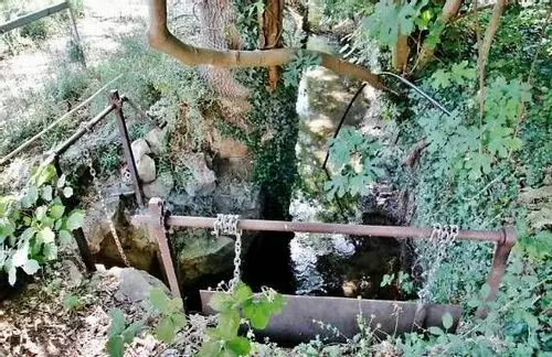Slide image