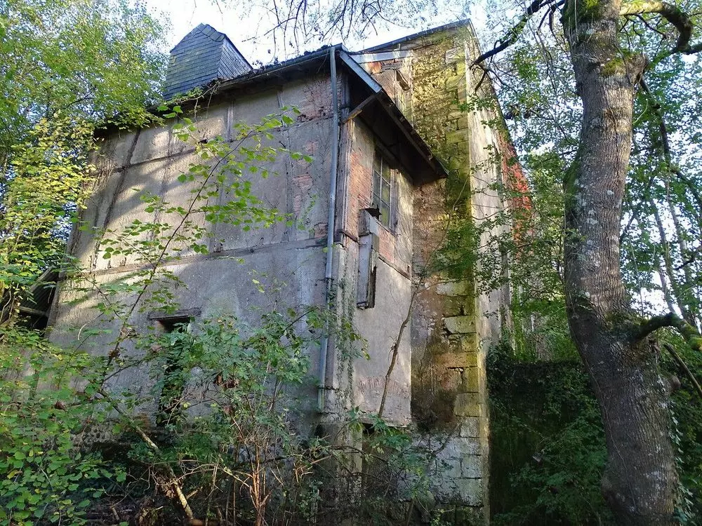 Slide image