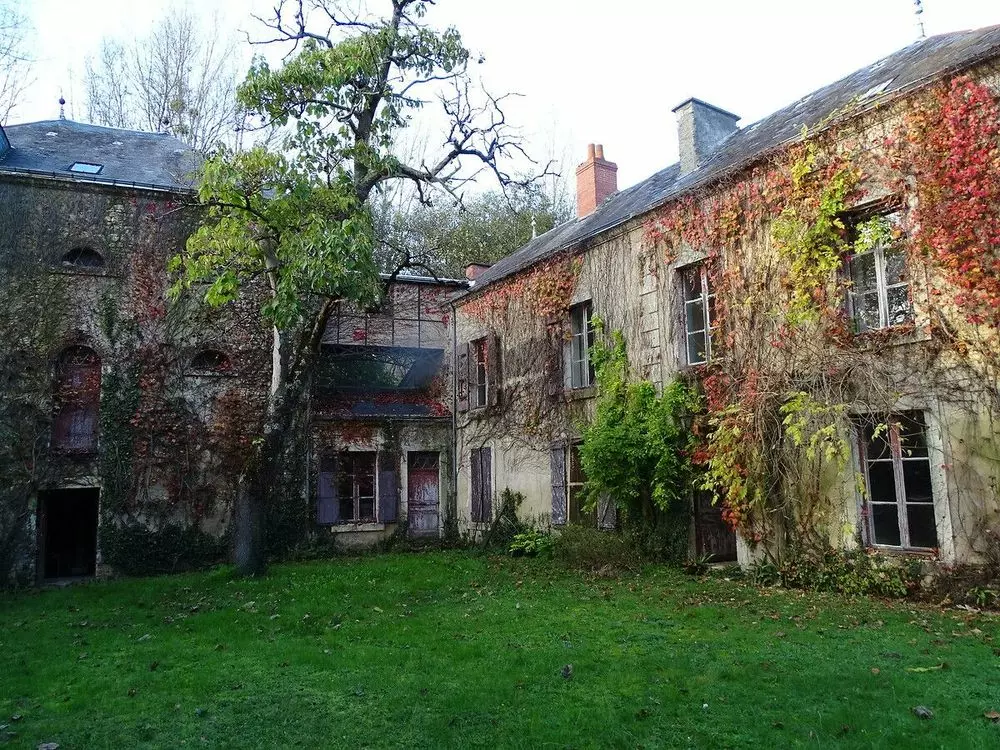 Slide image