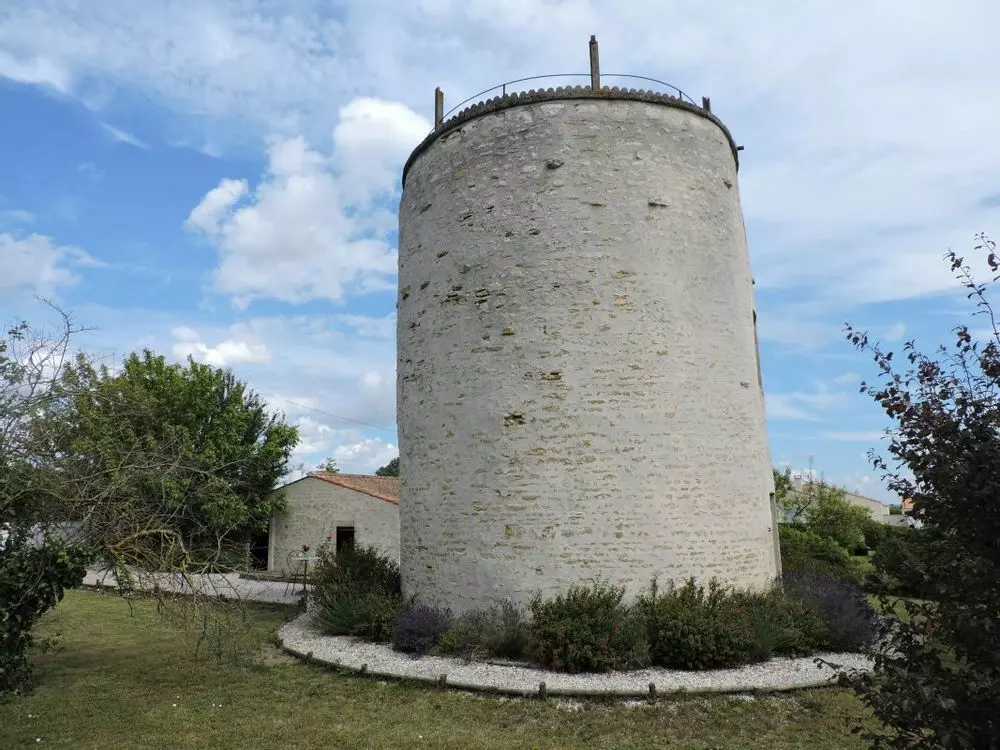 Slide image