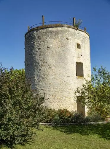 Slide image